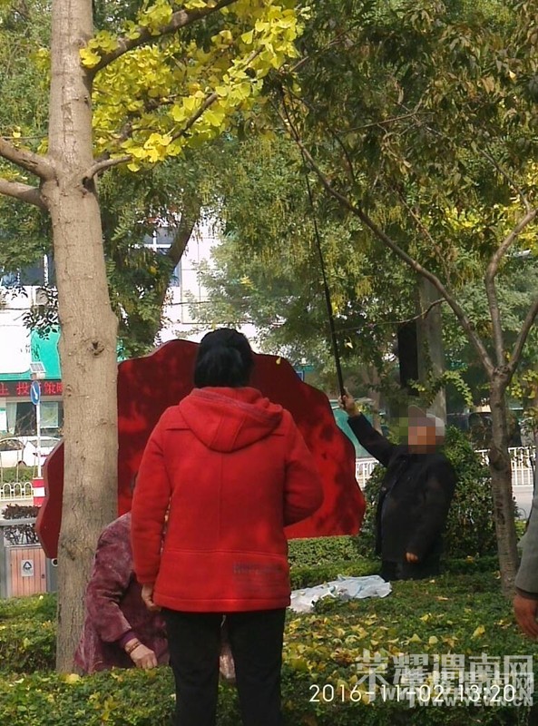 ���·�ͳ���·ʮ�ֵ�һĻ����Ͳ����㣬����������