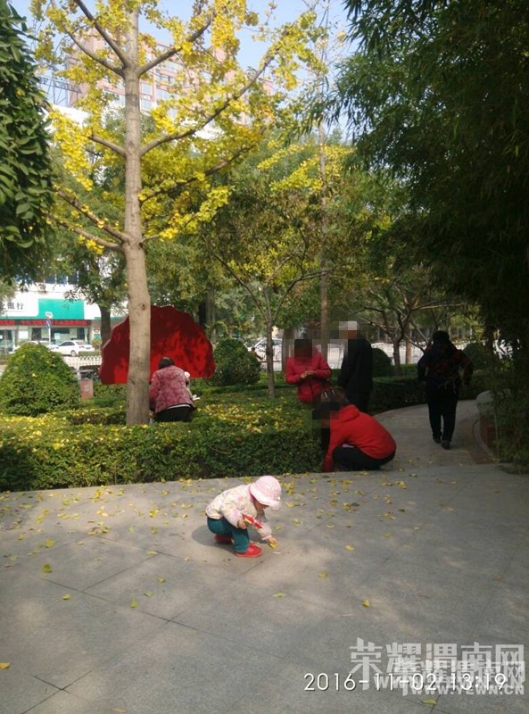 ���·�ͳ���·ʮ�ֵ�һĻ����Ͳ����㣬����������