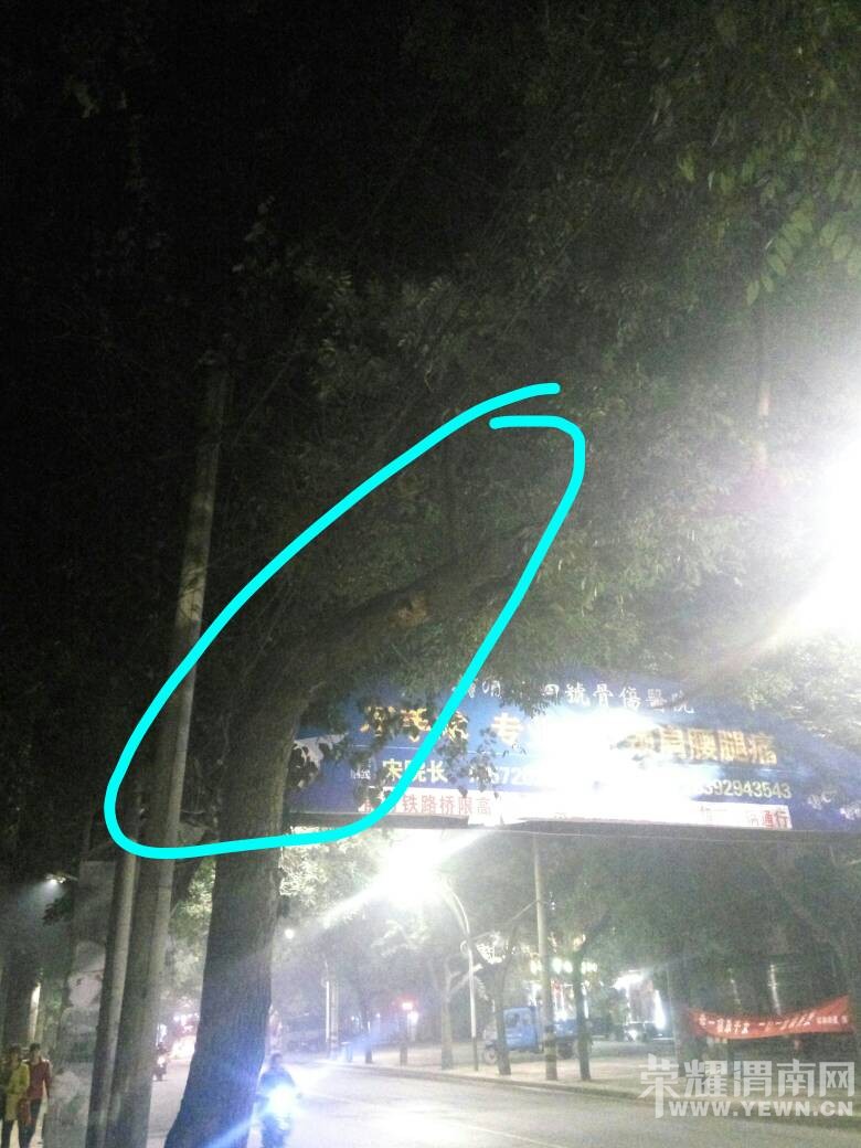 վ��·���ű���·��������һö��ǿ��ɣ�