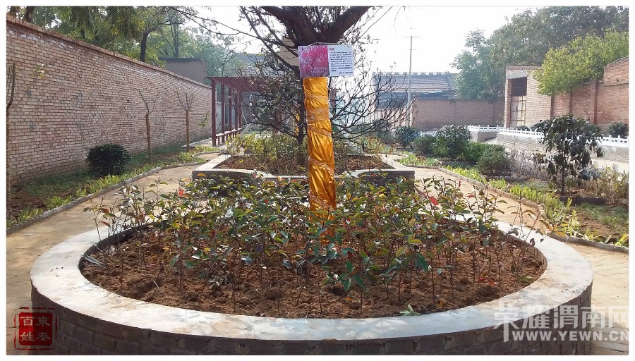 ������彨���ù�·���ͬ���ò������