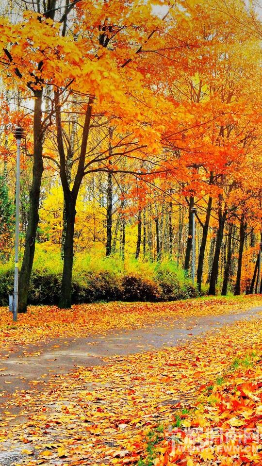 ��ƭ�� ���λ�ҳ���������ע�ⰲȫ