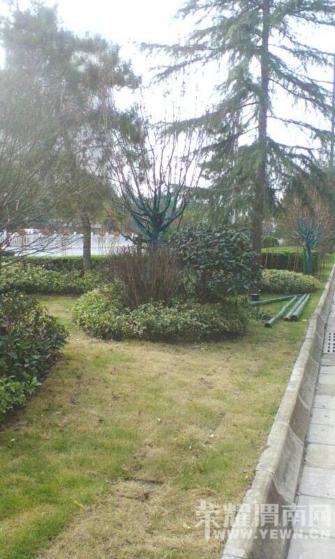 ������·���̻�����ľ�ġ����¡�������������Ҳ�������ˣ�