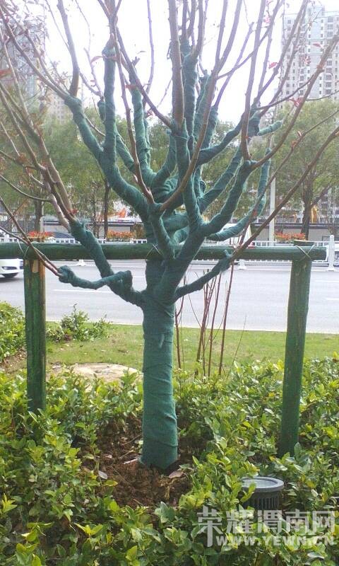 ������·���̻�����ľ�ġ����¡�������������Ҳ�������ˣ�