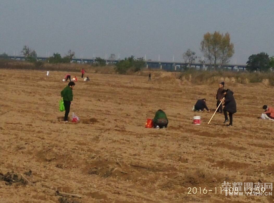 μ��̲���ڸ��죬���治�ܿ�ϧ�������Ǽ�����������