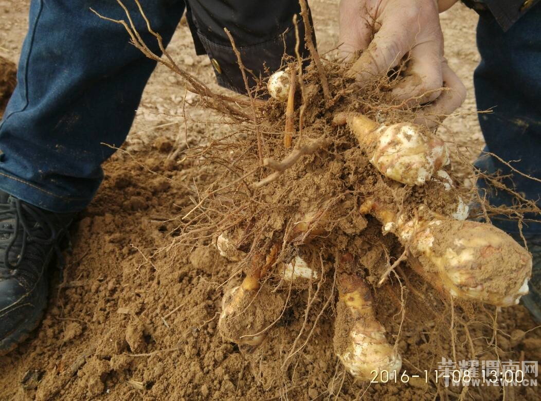 μ��̲���ڸ��죬���治�ܿ�ϧ�������Ǽ�����������