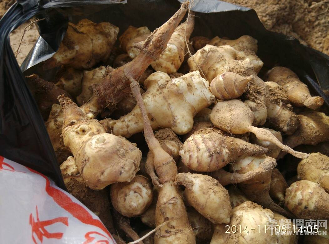 μ��̲���ڸ��죬���治�ܿ�ϧ�������Ǽ�����������