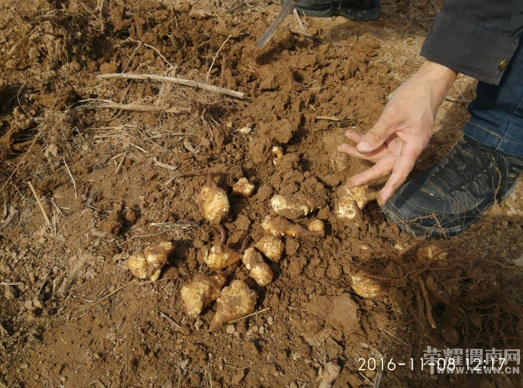 μ��̲���ڸ��죬���治�ܿ�ϧ�������Ǽ�����������