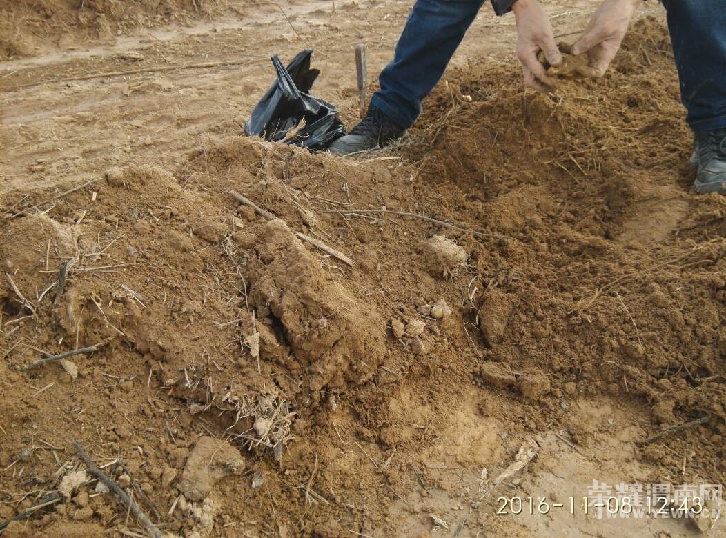 μ��̲���ڸ��죬���治�ܿ�ϧ�������Ǽ�����������