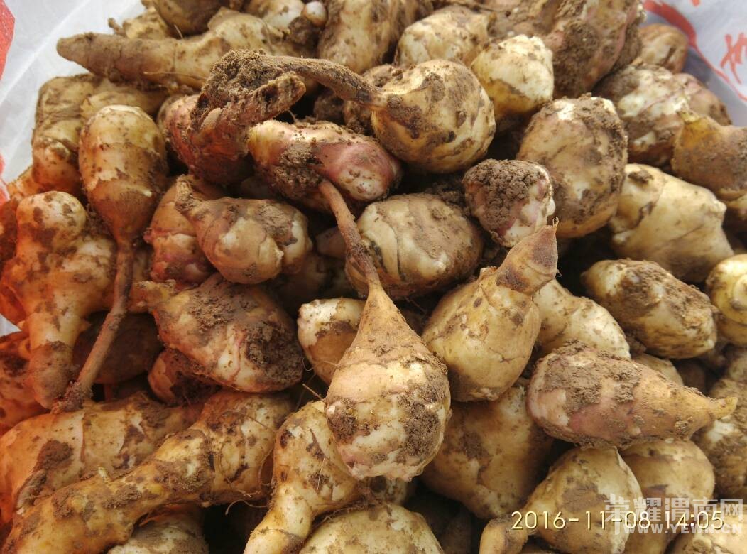 μ��̲���ڸ��죬���治�ܿ�ϧ�������Ǽ�����������