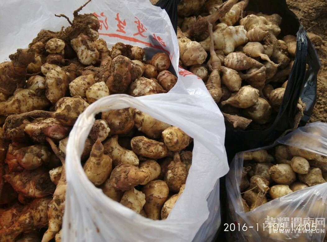 μ��̲���ڸ��죬���治�ܿ�ϧ�������Ǽ�����������