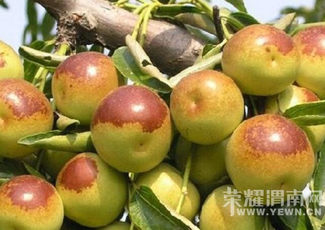 1��������256Ԫ������ġ�����桱�������