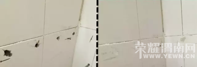 ����������ɷ��ɵɵ�ֲ������װ�޾����ںں����Ĵ�ש������