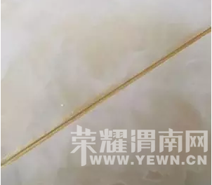 ����������ɷ��ɵɵ�ֲ������װ�޾����ںں����Ĵ�ש������