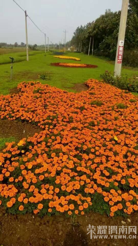 ����μ�ϻ�����7��������������η�ƶ�ص��