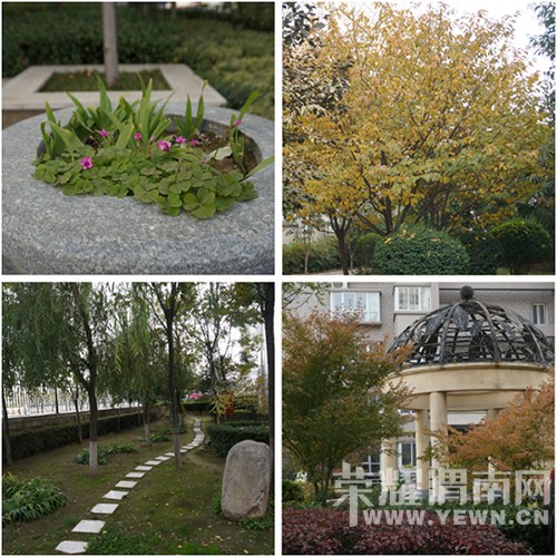 �⾹Ȼ�����Ż���