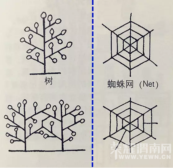 �ĸġ��ҾӶ��ߡ���ÿ�����϶�˯һСʱ