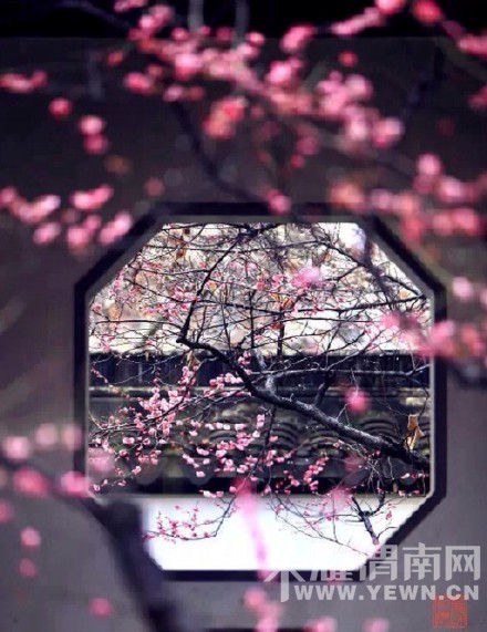 һ��֪ʱ�ڣ����߽��ģ�������������������