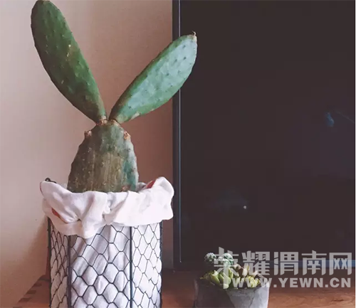 ���ҵش�����С�ǣ�ȴ�����������˲������ʦ�Ļ������