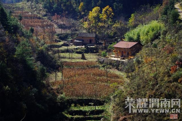 ������·����ǧɽԽ��26�ţ�������̽�����Ͽ�˹�ص�ò������ɽ���е�ɽһ����