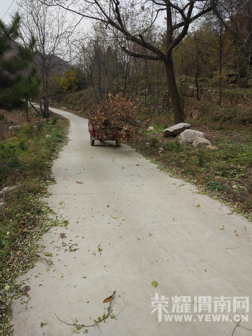 ·�����������