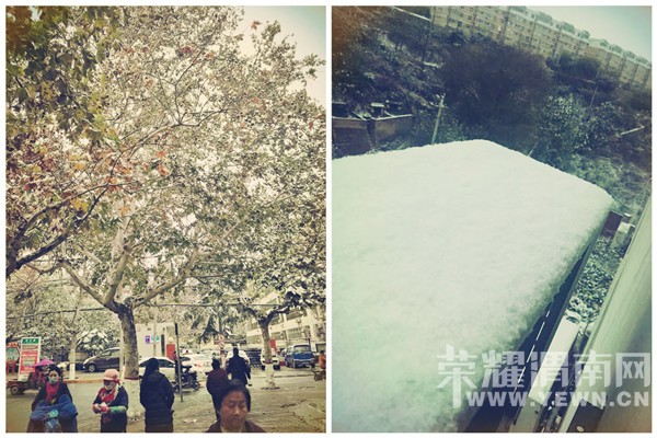 μ��ӭ��2016���һ��ѩ����������ѩ�ˣ����ǻ�����