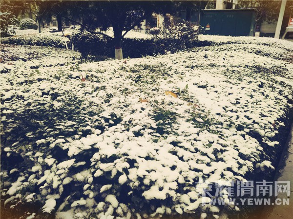 μ��ӭ��2016���һ��ѩ����������ѩ�ˣ����ǻ�����