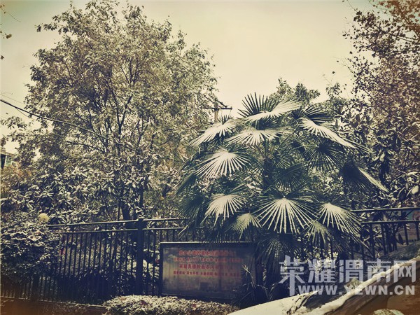 μ��ӭ��2016���һ��ѩ����������ѩ�ˣ����ǻ�����