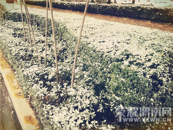 μ��ӭ��2016���һ��ѩ����������ѩ�ˣ����ǻ�����