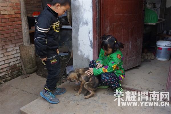 ů����2016ƶ����ͥ�߷û��ļ־Ը�߼����г�������