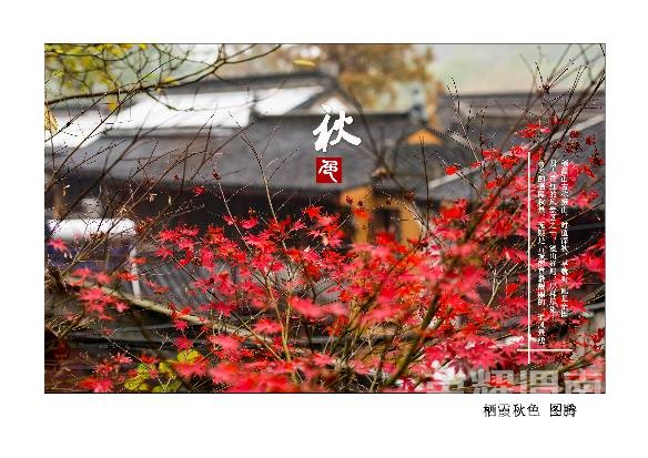 渭南市人口网_...型城镇化建设对渭南房地产行业的影响(2)
