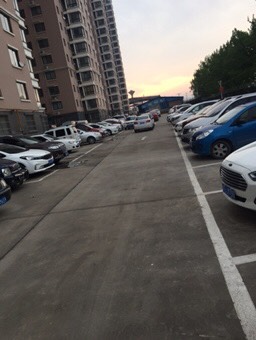 莲居城这样的物业凭什么收取停车费用?