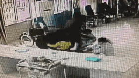 3.gif