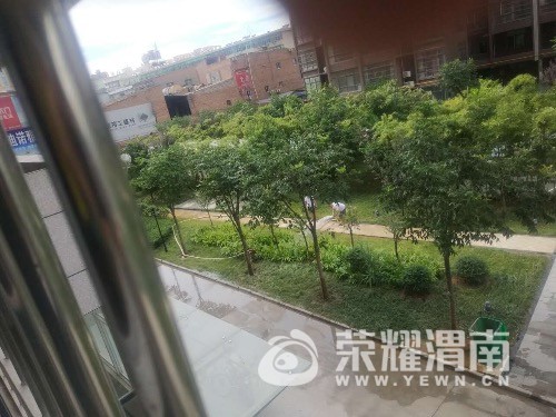 通达朗郡小区物业使用消防栓里的水浇花,脑子