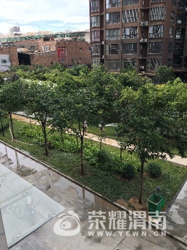 通达朗郡小区物业使用消防栓里的水浇花,脑子