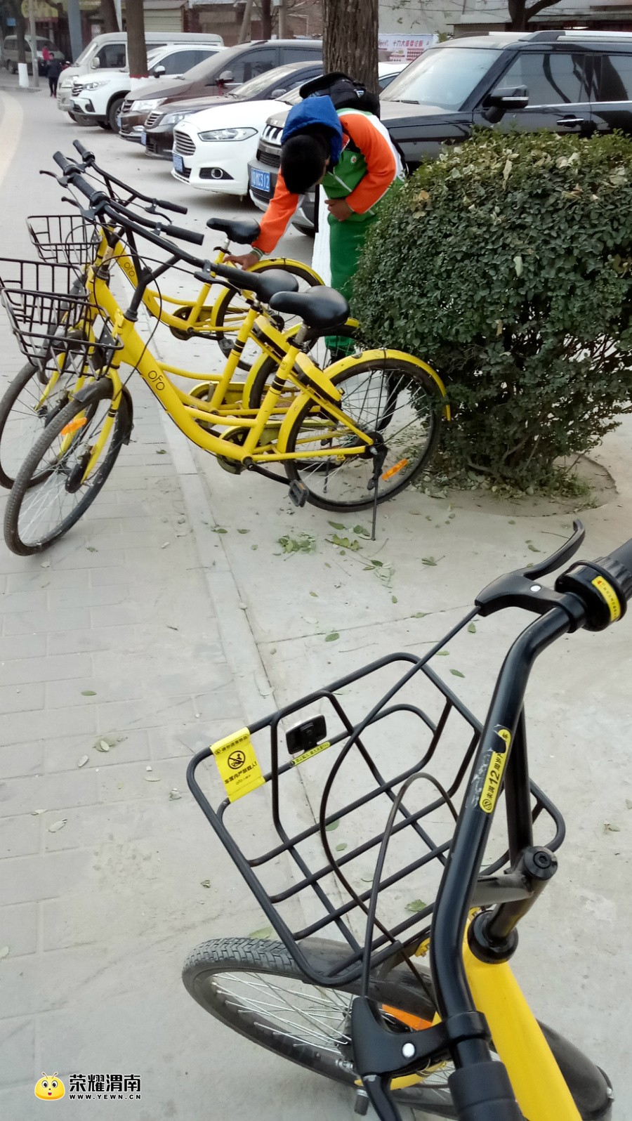 ofo%20IMG20171212172213.jpg