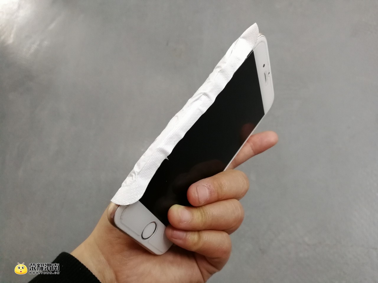 昨晚给我的小六做了心脏搭桥手术,今天包严实