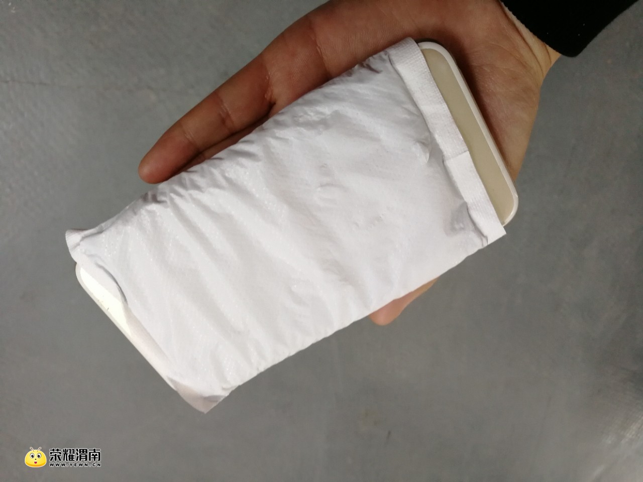 昨晚给我的小六做了心脏搭桥手术,今天包严实