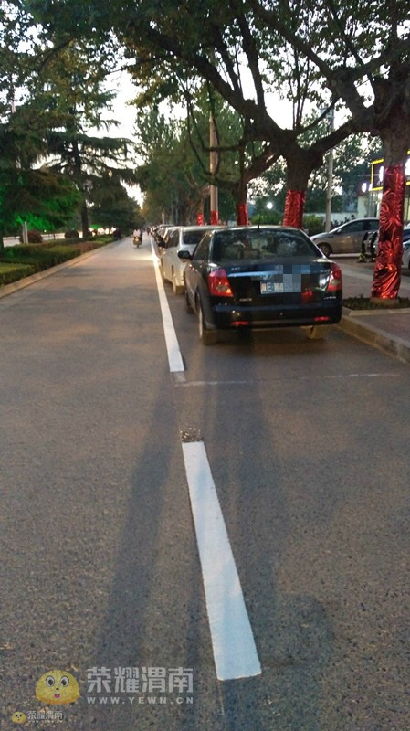 渭南多条路段的非机动车道出现这种白线是啥意