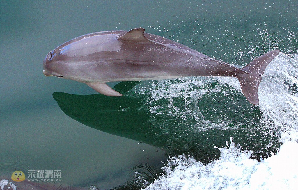 �������� (5).jpg