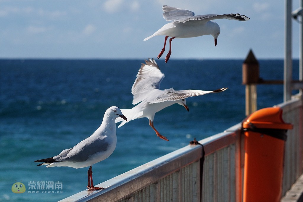 �������� (6).jpg