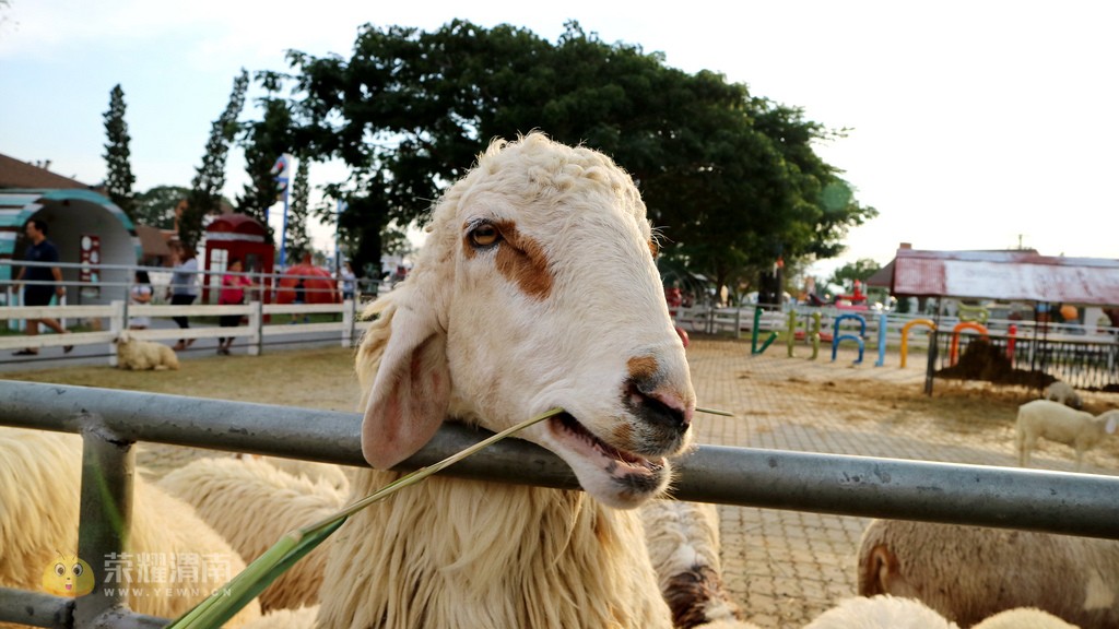 �������� (13).jpg