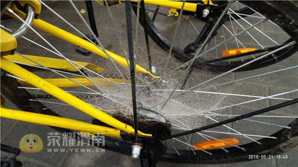 朝阳路上的小黄寂寞的都结蜘蛛网了,这是要成