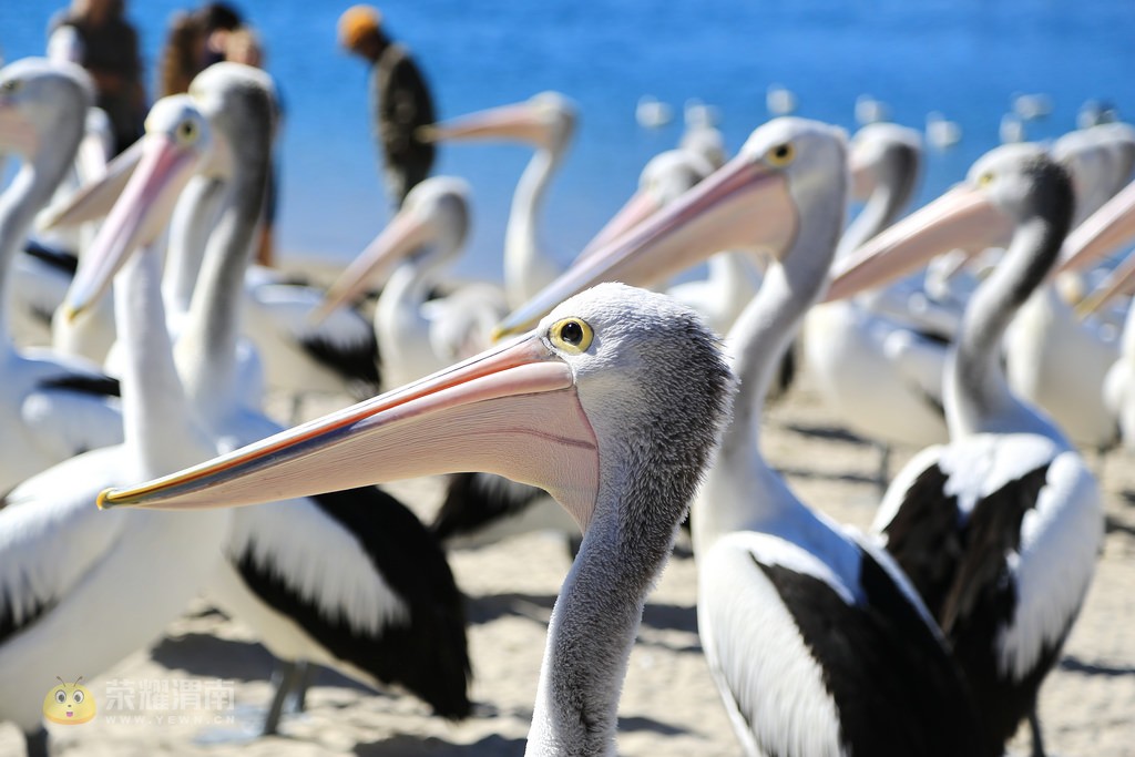 �Ĵ����� (22).jpg