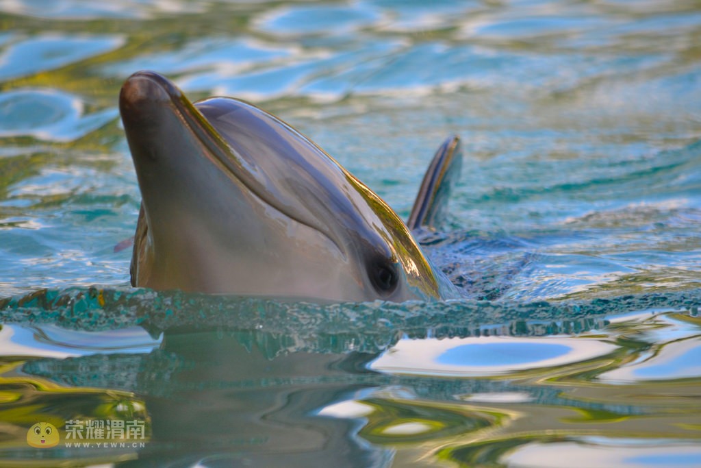 �Ĵ����� (27).jpg