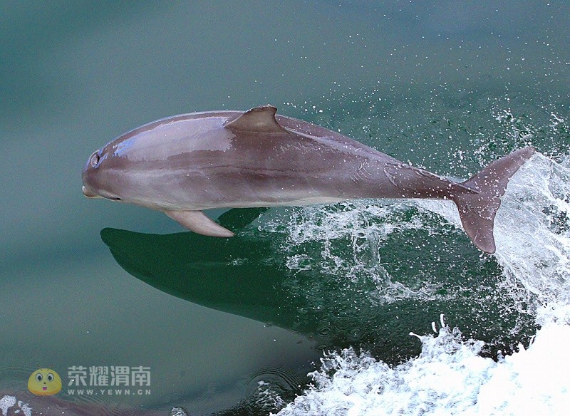 �Ĵ����� (28).jpg