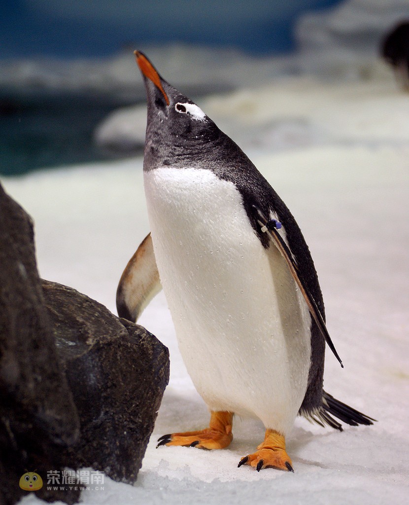 �Ĵ����� (29).jpg