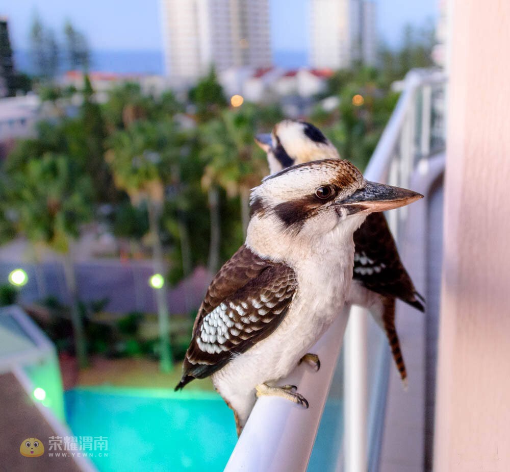 �Ĵ����� (35).jpg