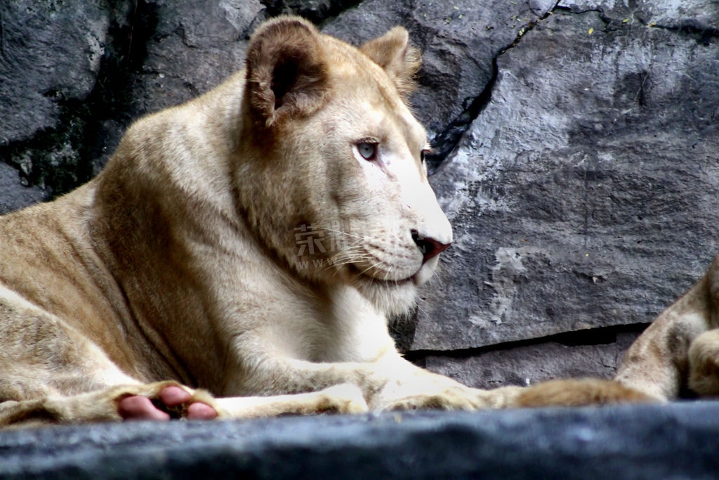 ��¡�� (22).jpg