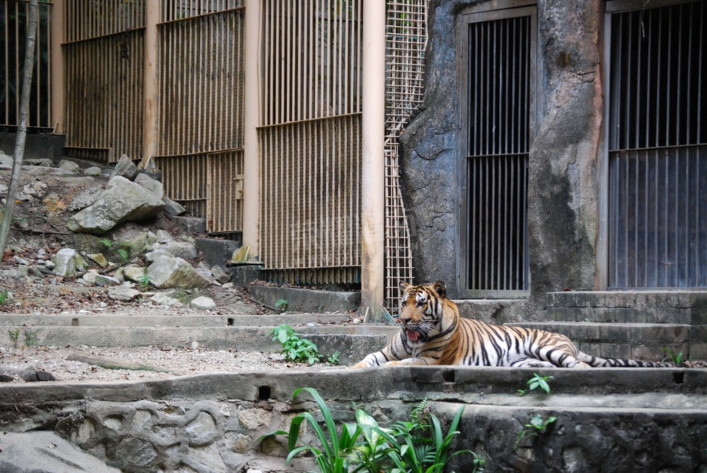 ��¡�� (24).jpg