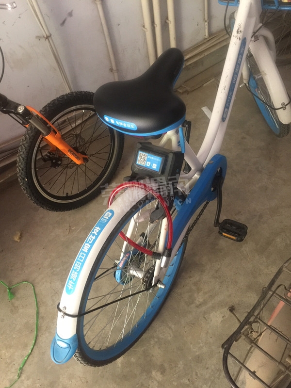 马大哈忘关锁却不忘加私锁,可怜的小蓝就这样